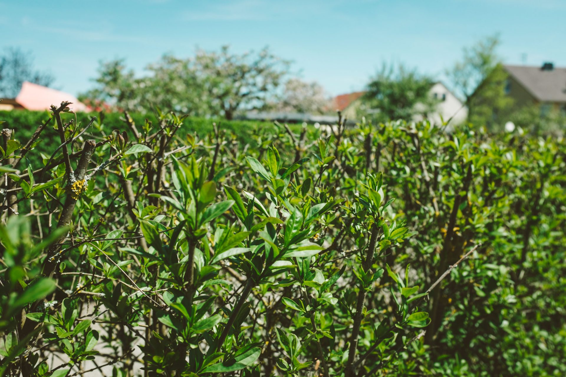 Bundeskleingartengesetz einfach erklärt SchrebergartenRatgeber